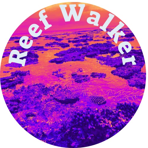Reef Walker(リーフウォーカー) ハンドメイドルアー