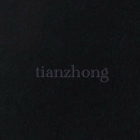 天 Tianzhong Zhizi Painting Design Book Shop 