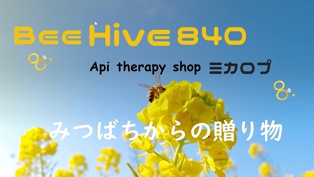 Bee Hive 840