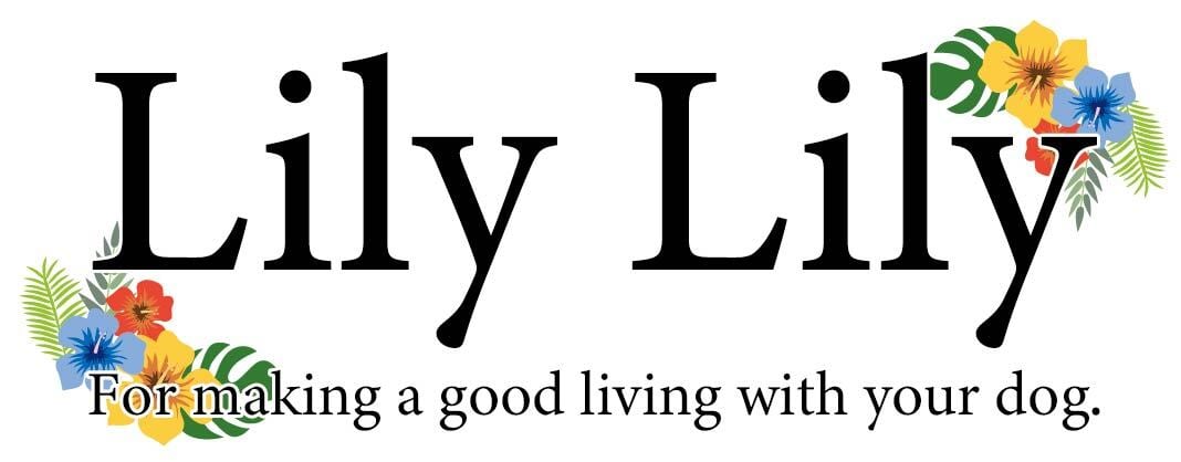 Lily Lily