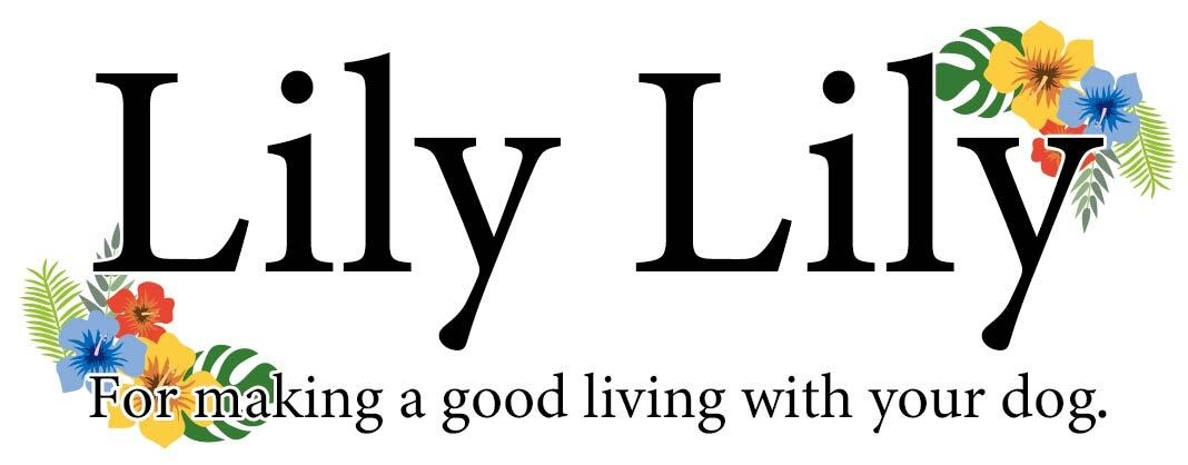 Lily Lily