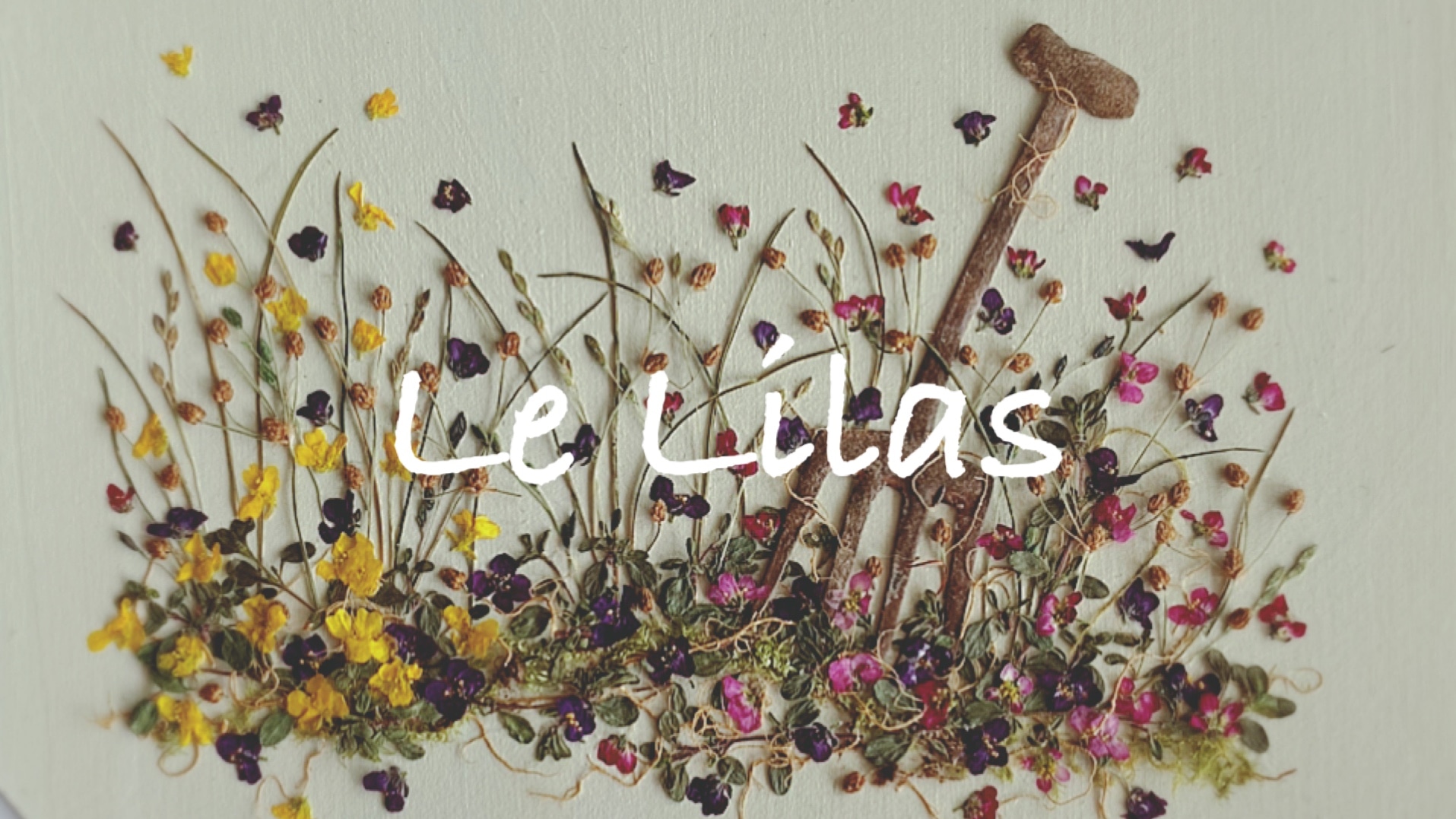 lelilas