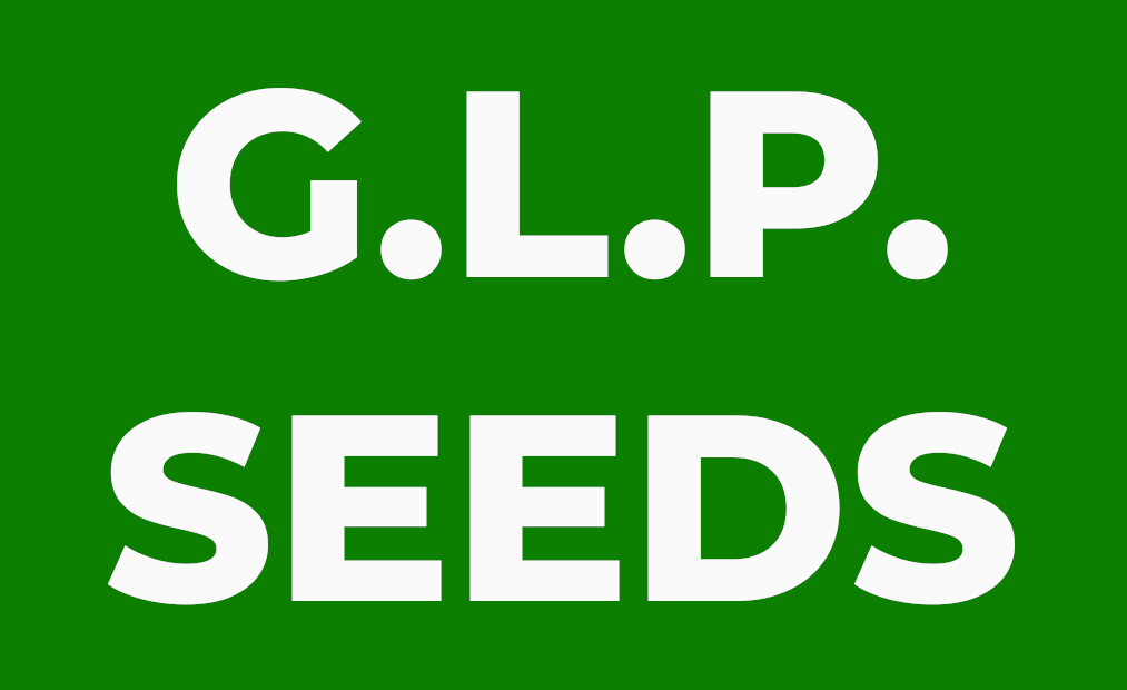 G.L.P. SEEDS