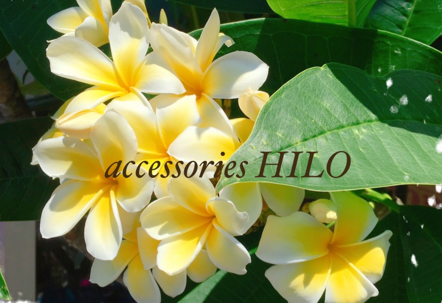 accessories HILO