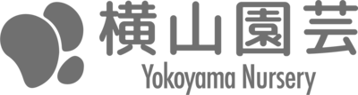 横山園芸 Yokoyama Nursery 公式オンラインショップ