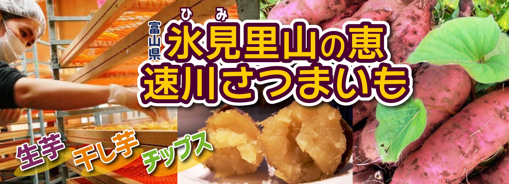 氷見里山の恵 速川さつまいも