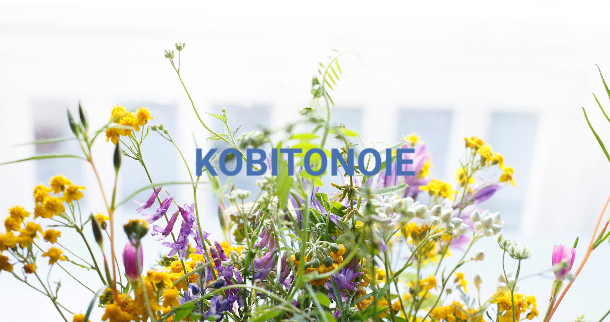 KOBITONOIE