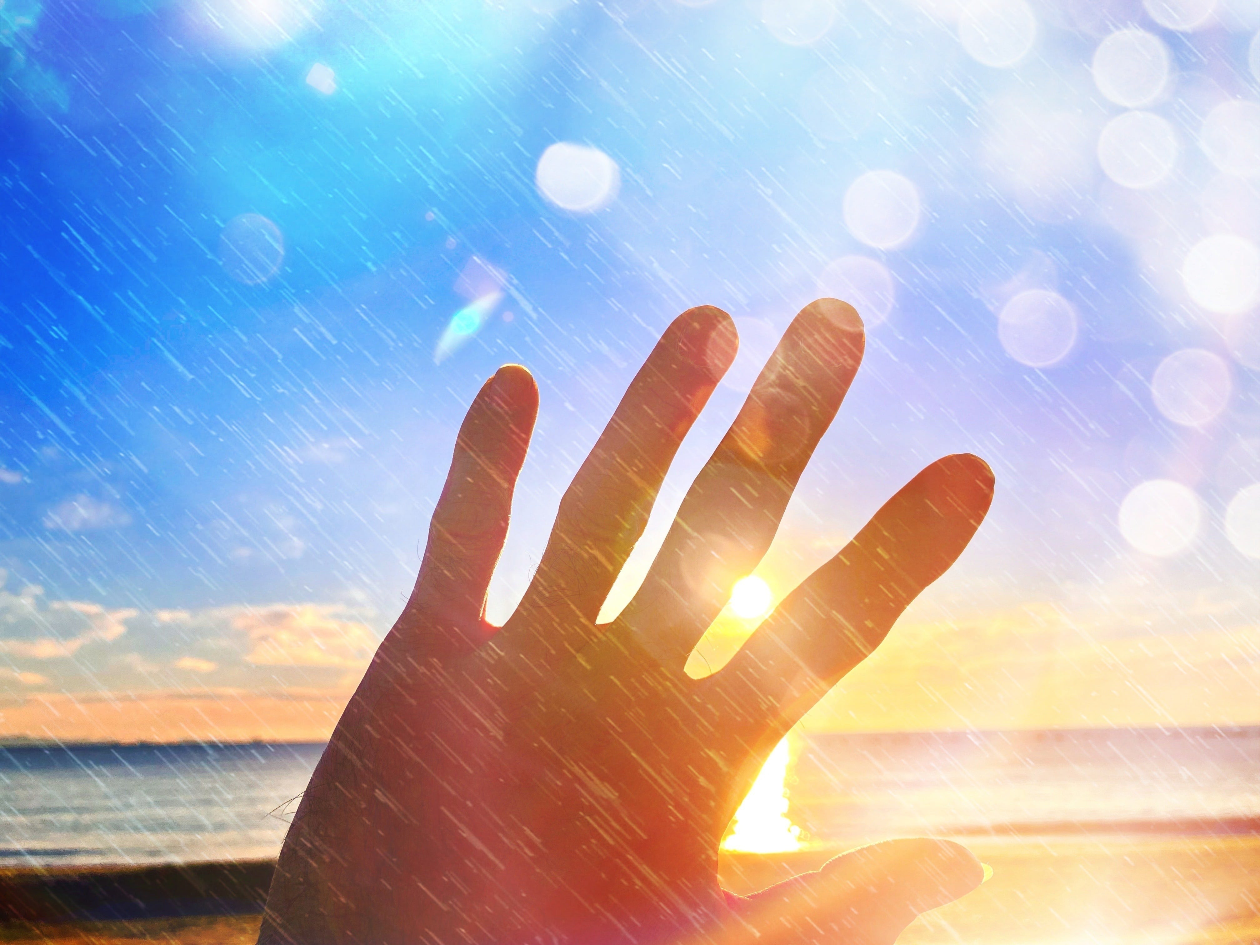 Utakazoku music shop