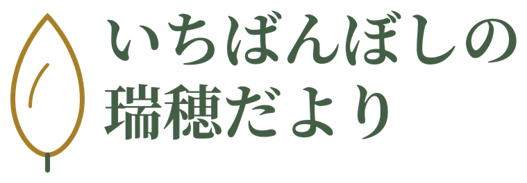 いちばんぼし 高根沢直売所