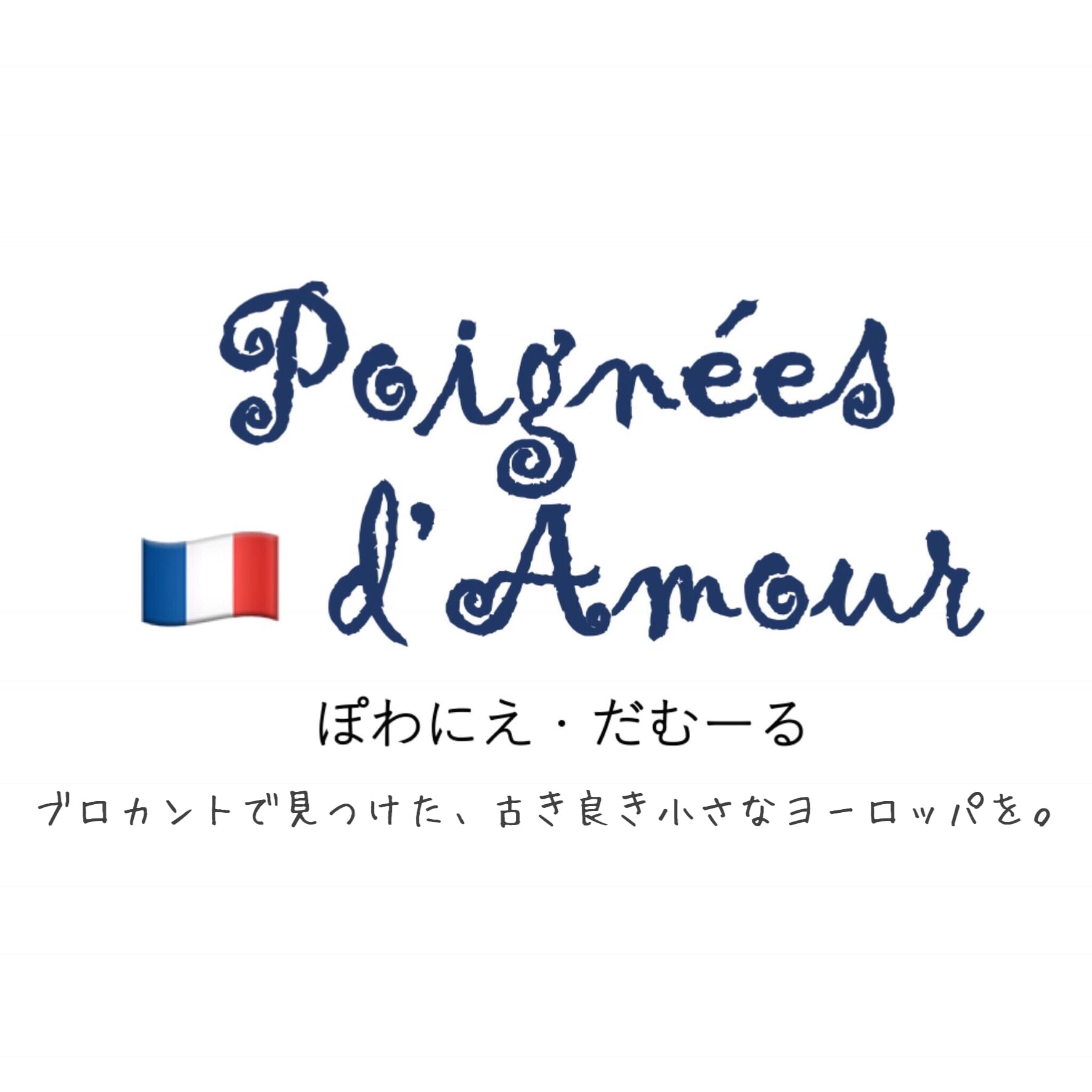 ♡１３０種♡　フランス　アンティーク　植物標本　ボタニカル　ブロカント　台紙厚め ♡130種♡ フランス アンティーク 植物標本 ボタニカル