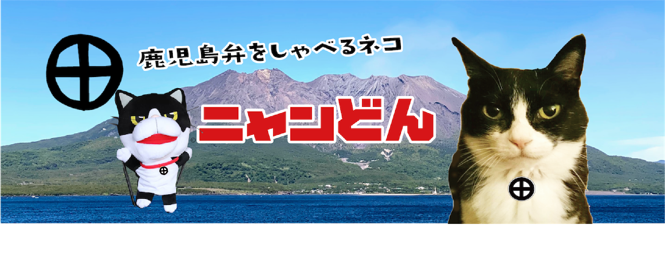 ニャンどんショップ