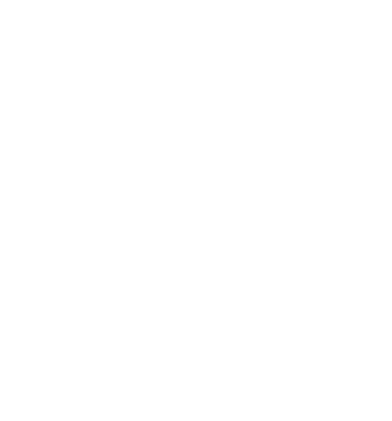 SETOUCHI PIZZA