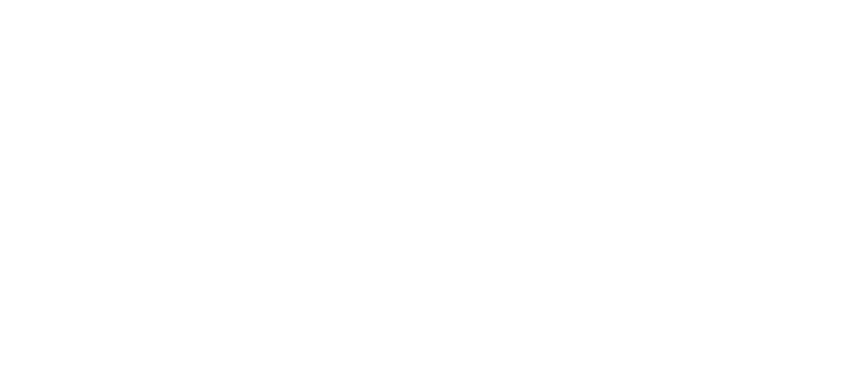 旅籠屋丸一　マルイチノイチ