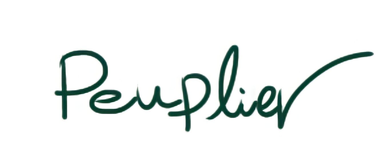 peuplier      used&handmade shop