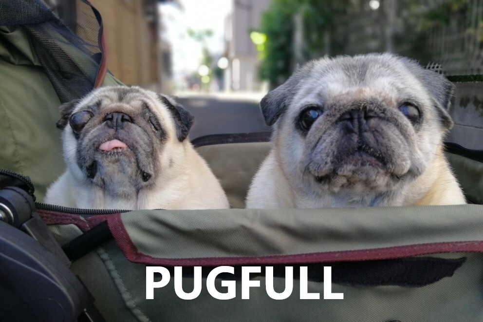 PUGFULL