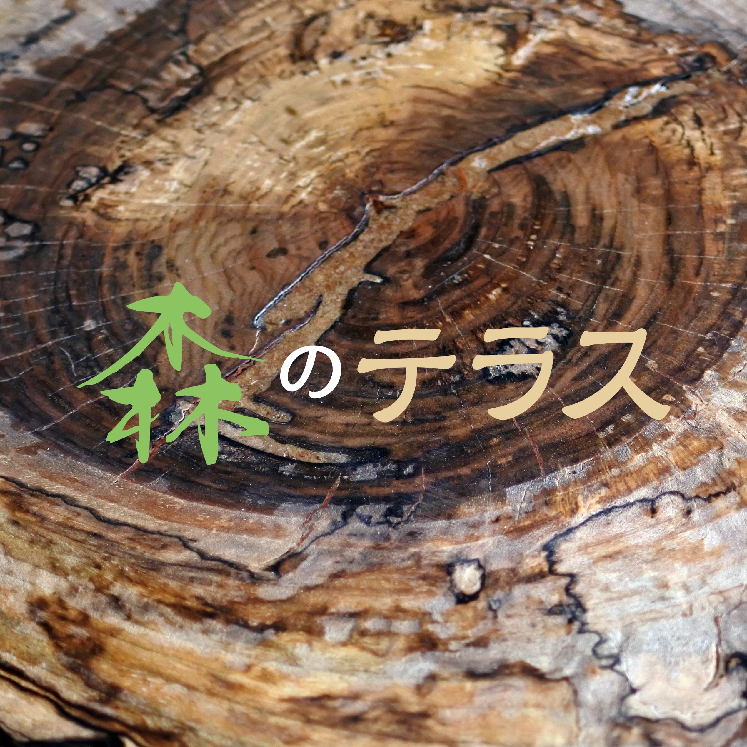 森のテラスパン工房