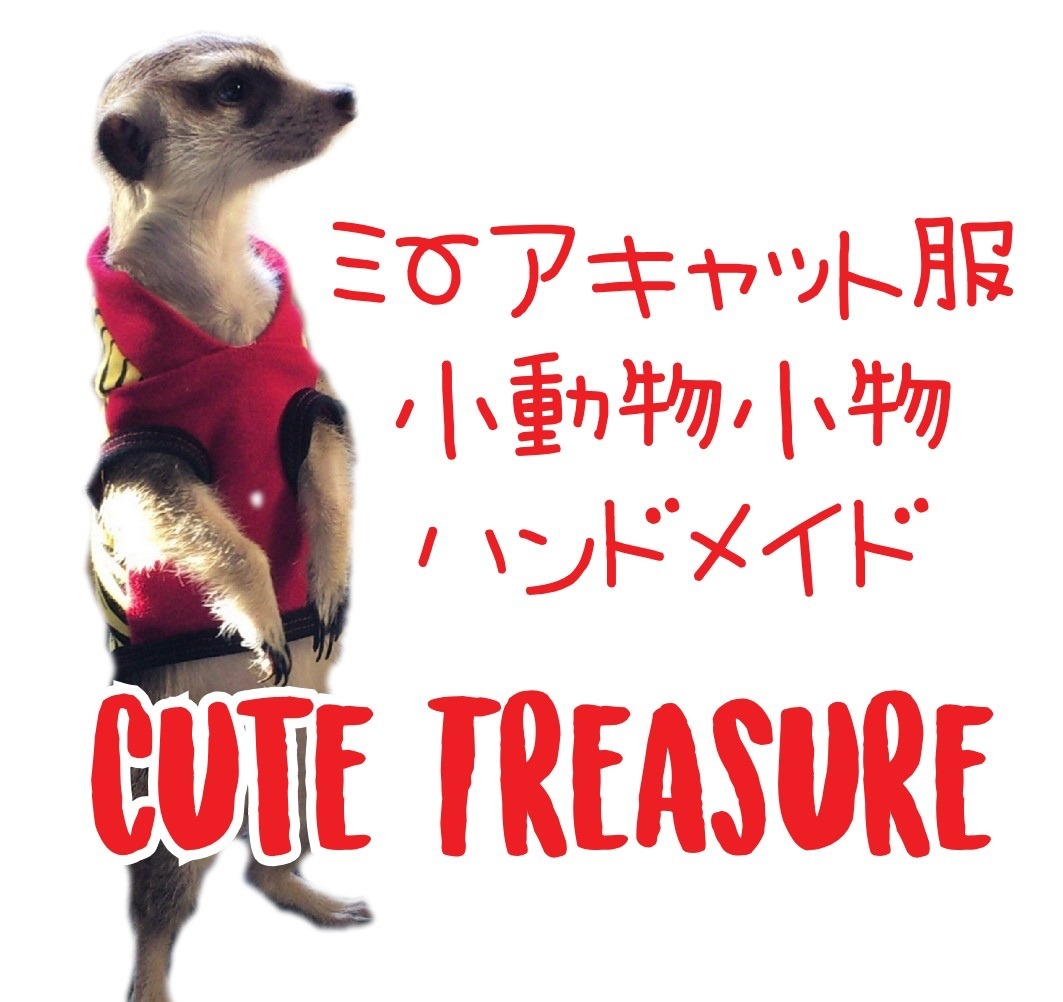 Cute  Treasure