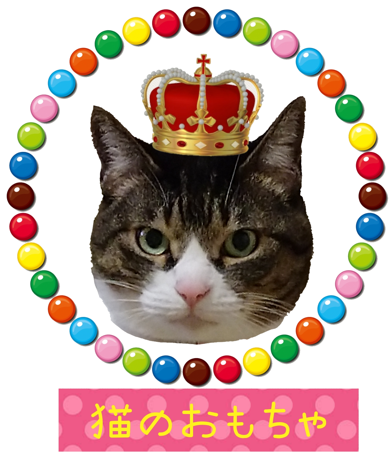 こっこの猫のおもちゃ