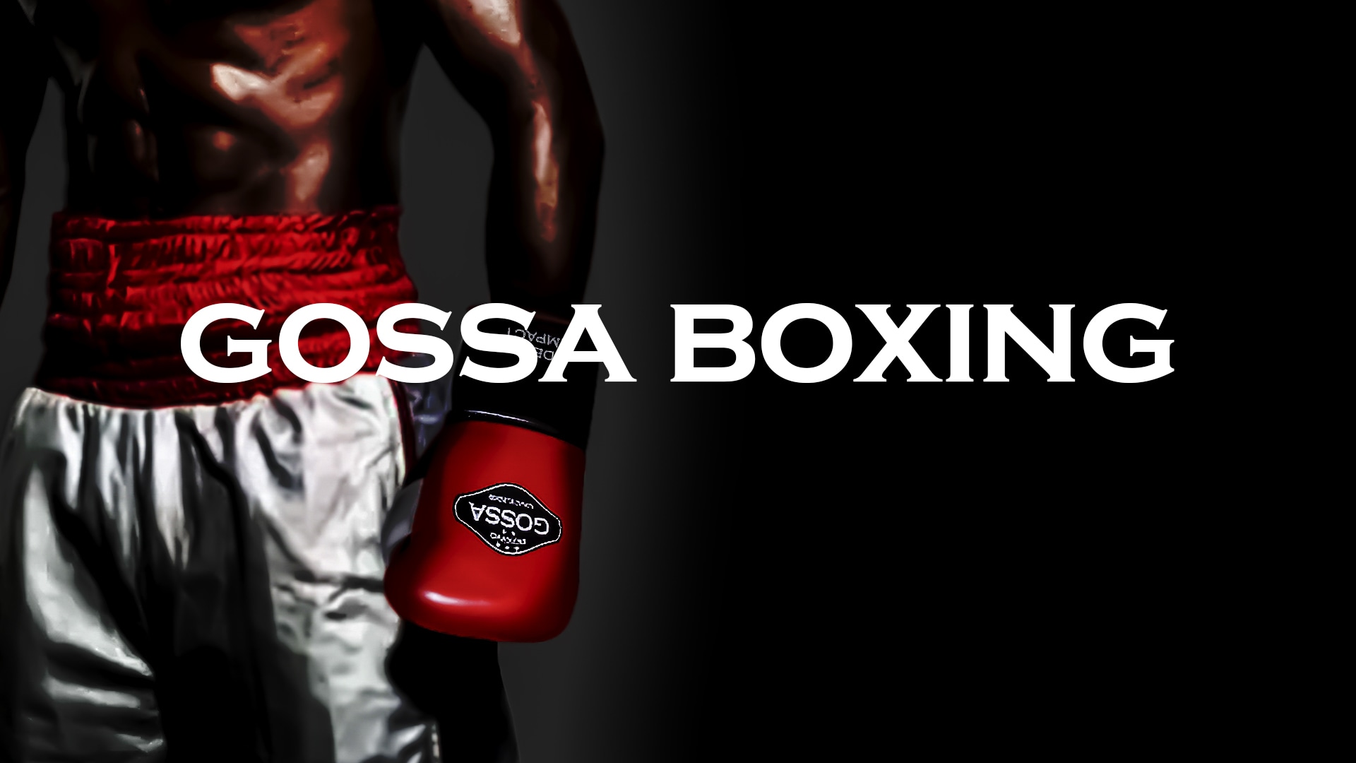 GOSSA BOXING STORE