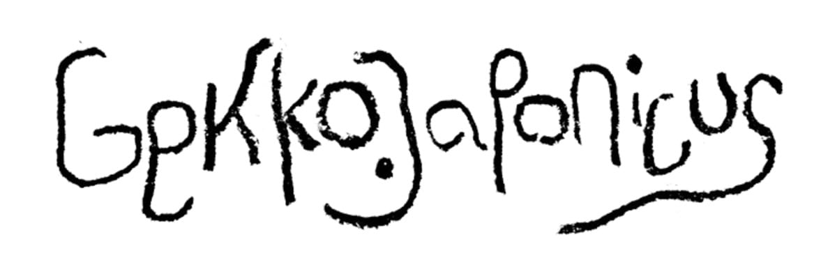 Gekko.Japonicus