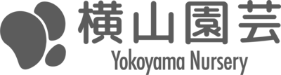 横山園芸 Yokoyama Nursery 公式オンラインショップ