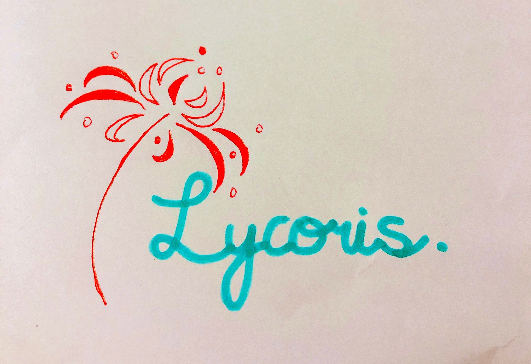 〜Lycoris〜