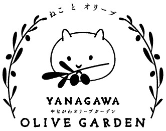 オリーバ・ガト　oliva・gato