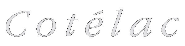 極美品 Cotelac　トップス ALL ITEM | Cotelac