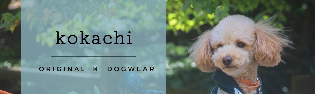 dogwear kokachi