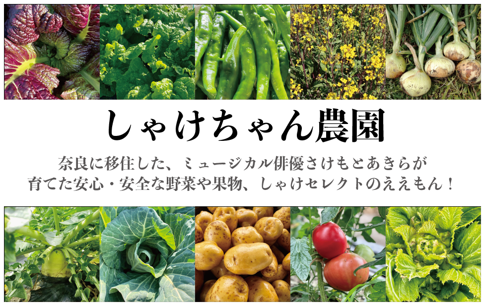 しゃけちゃん農園