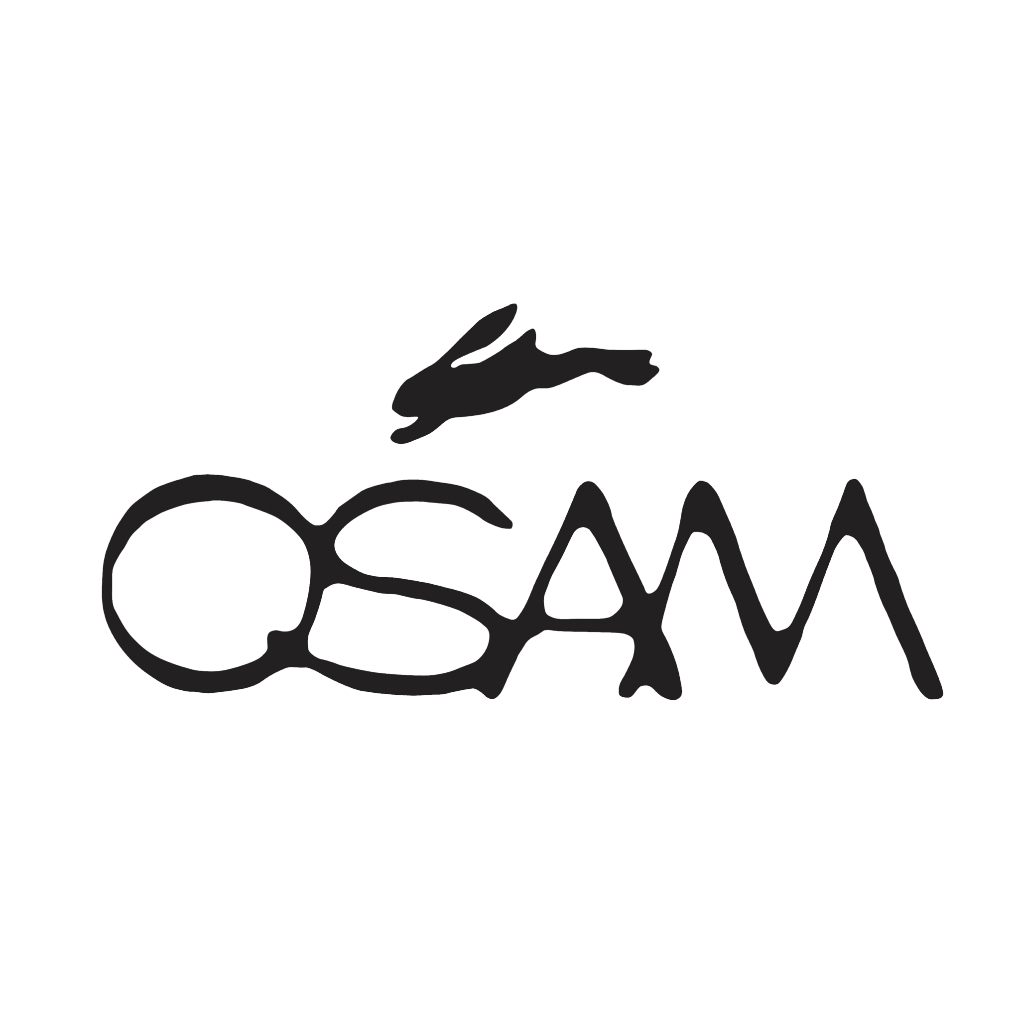 OSAM ONLINE SHOP