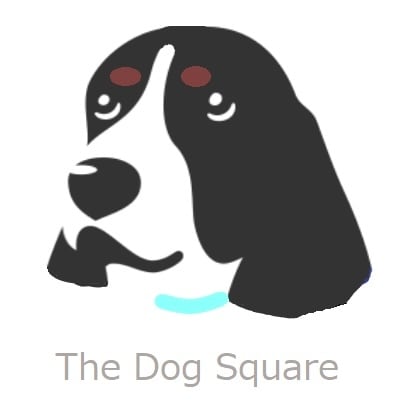 The Dog Square