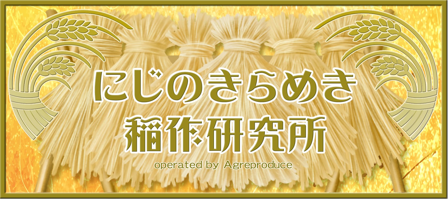 にじのきらめき稲作研究所