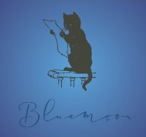 ワンホンネイルチップ おしゃれなマグネットネイルや可愛いビー玉ネイル販売ならbluemoom1231