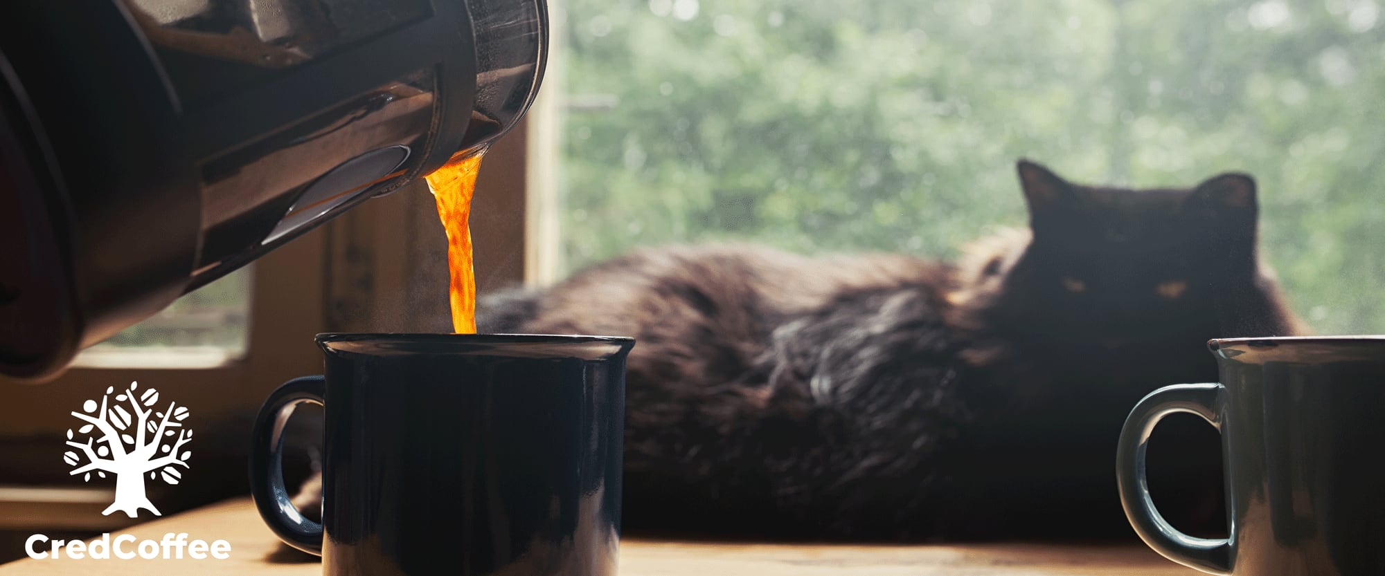 自家焙煎珈琲豆　CredCoffee