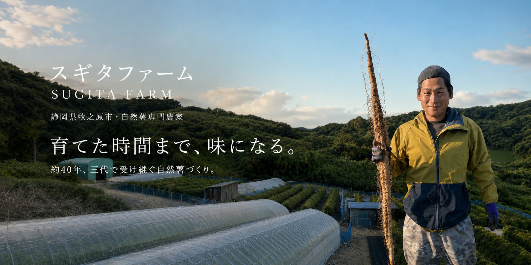 スギタファーム｜静岡県牧之原市の自然薯専門農家