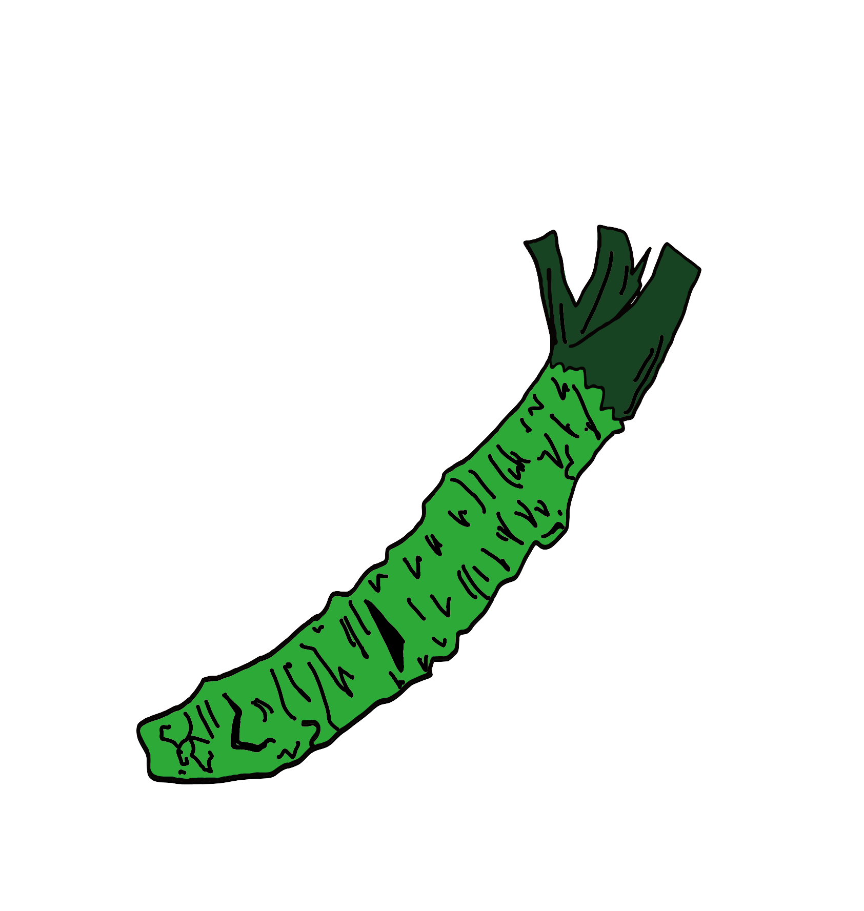 Wasabi Tokyo