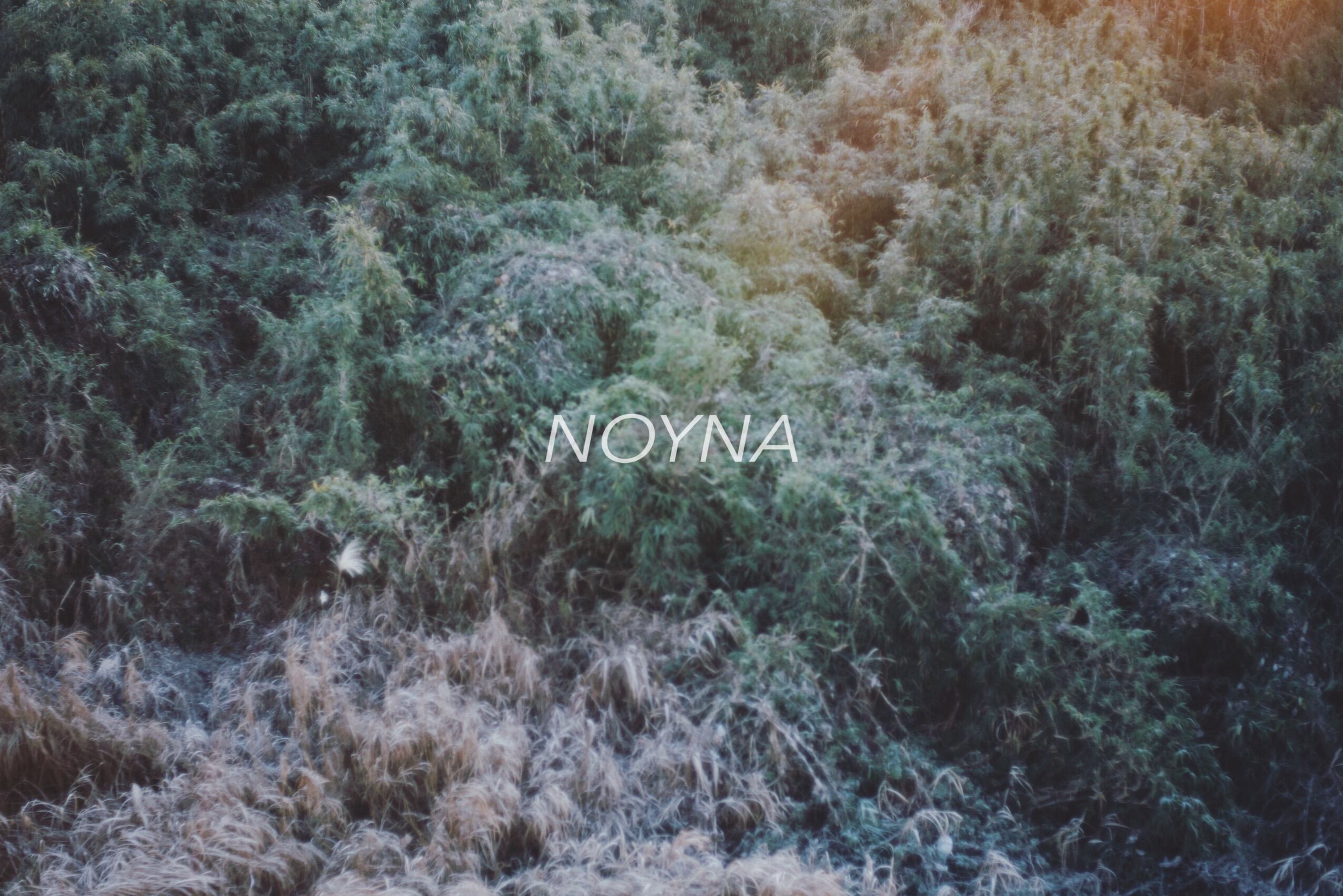 NOYNA