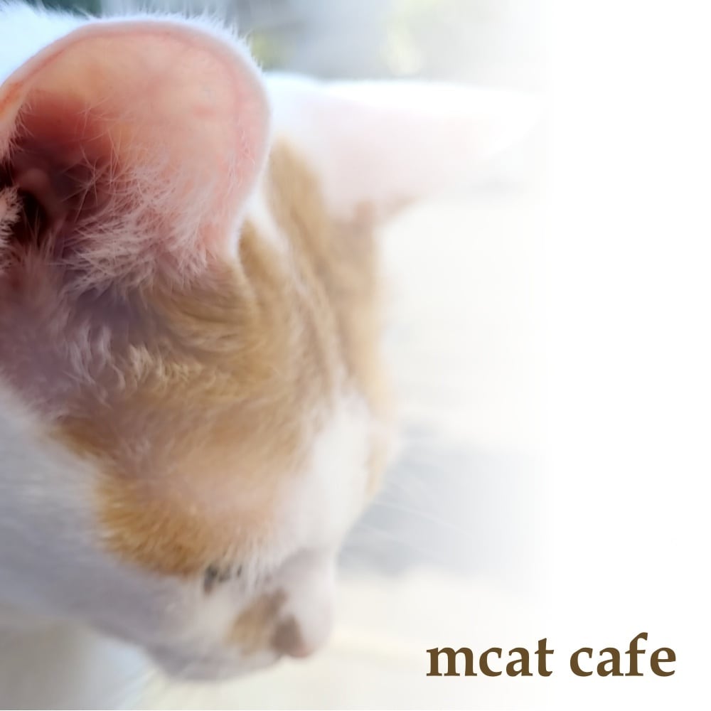 mcat cafe