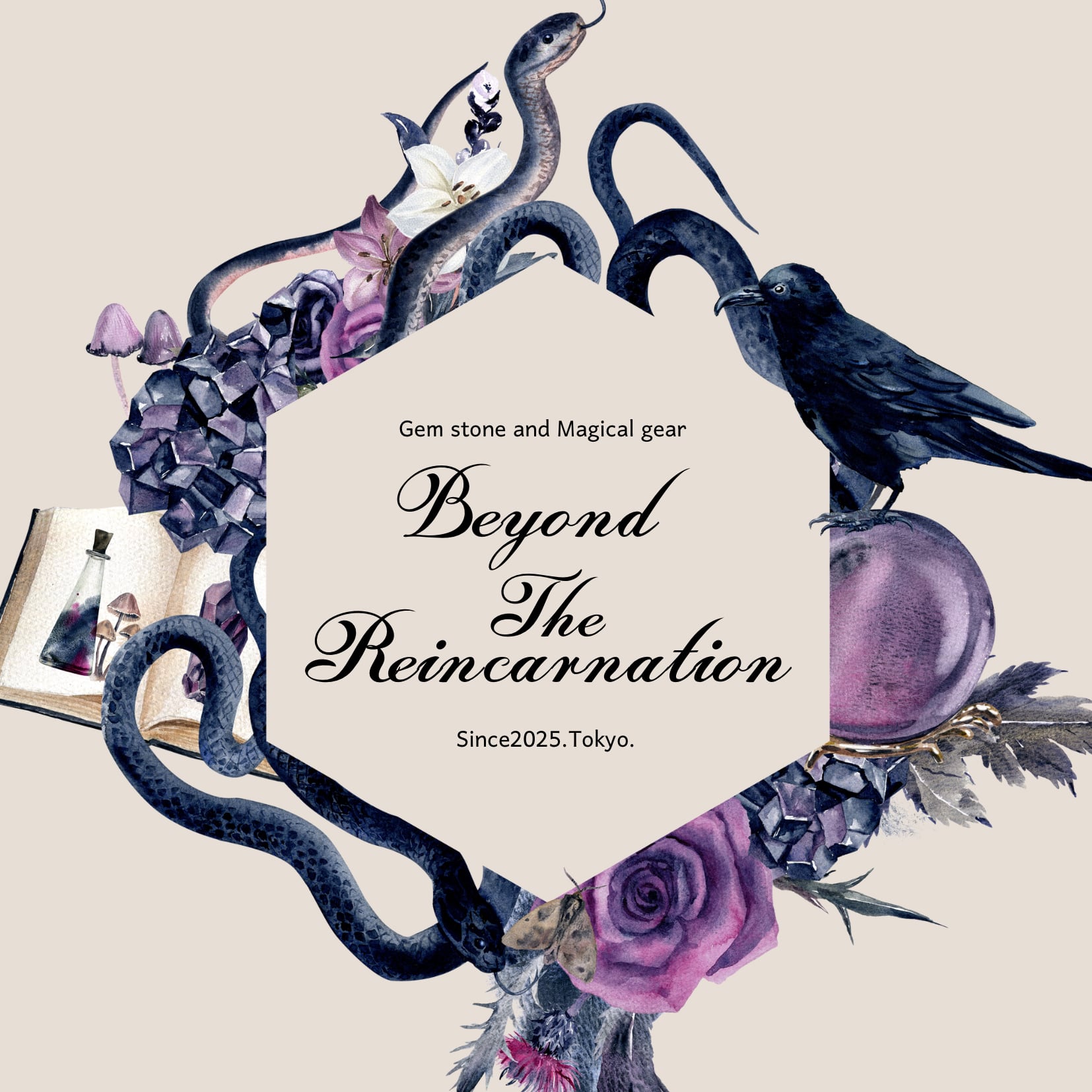 Beyond the reincarnation 