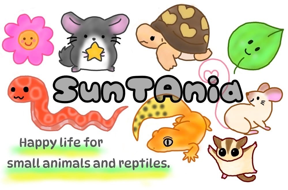 SunTAnia