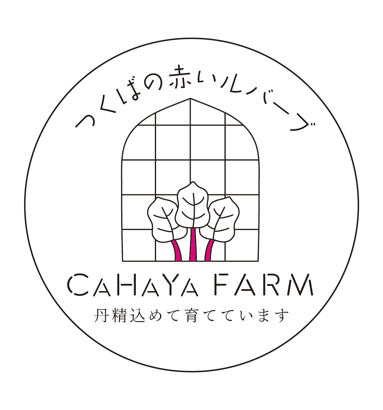 つくば育ちの赤いルバーブ　CAHAYA FARM 