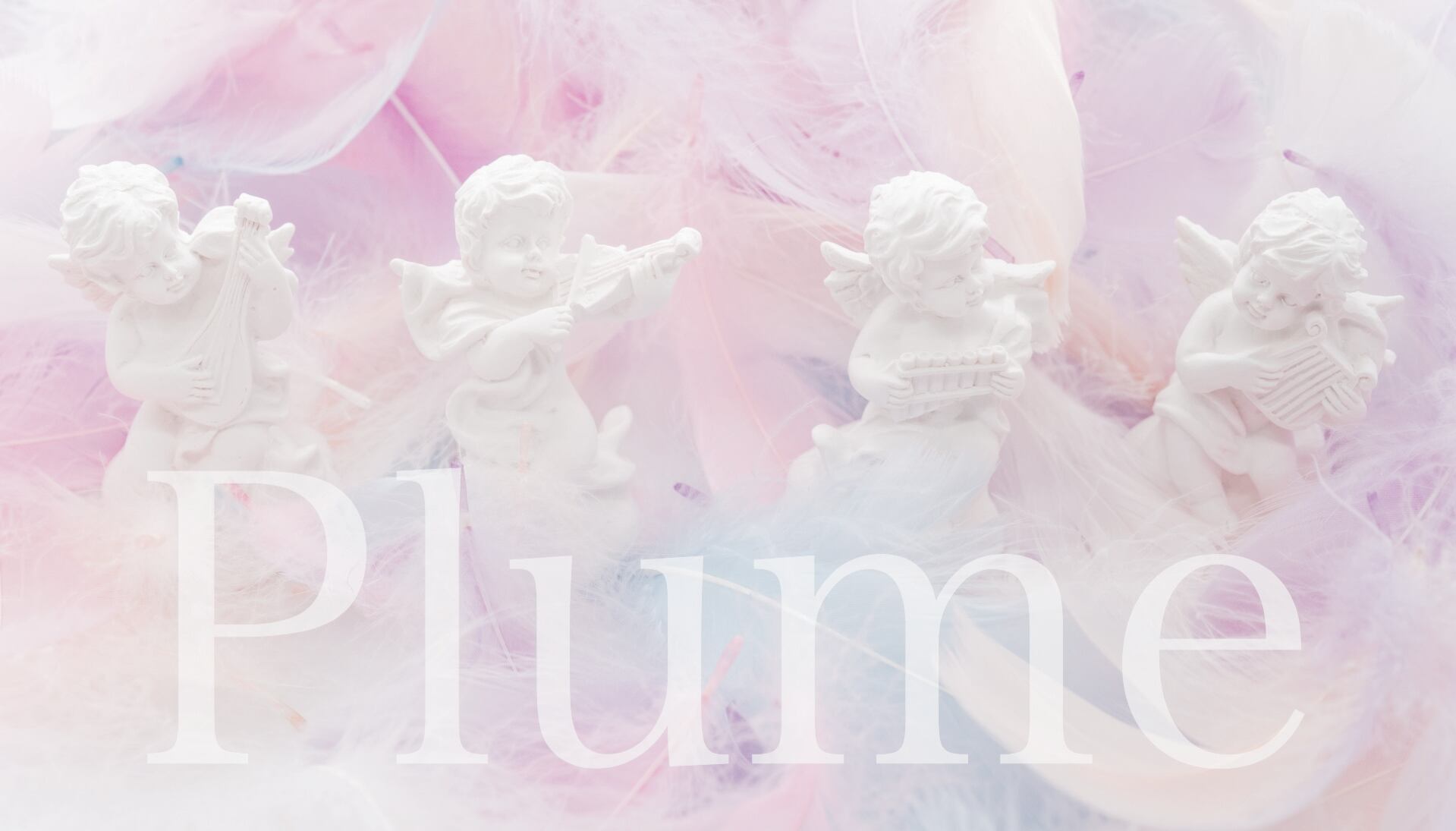 Plume Accessories