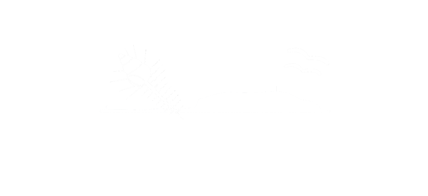 Holy Ground / ホーリーグラウンド
