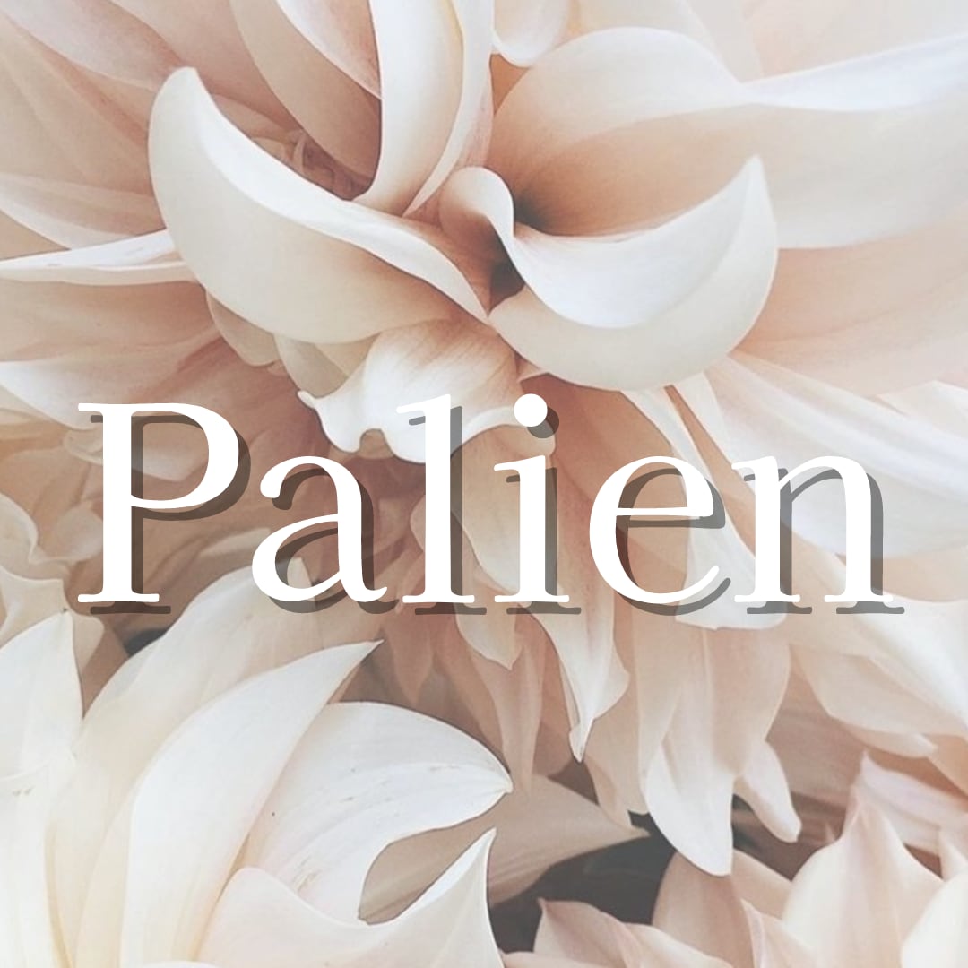 Palien