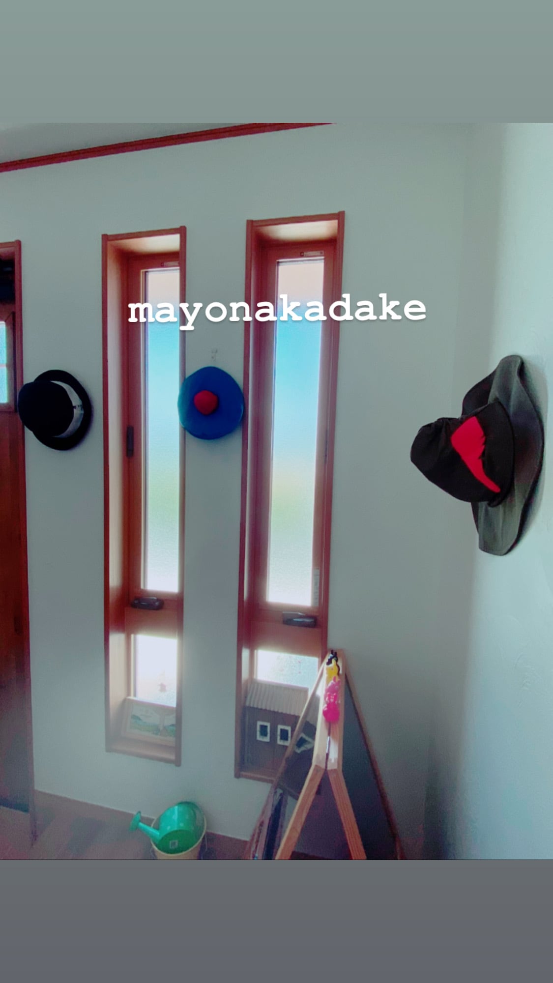 mayonakadake 