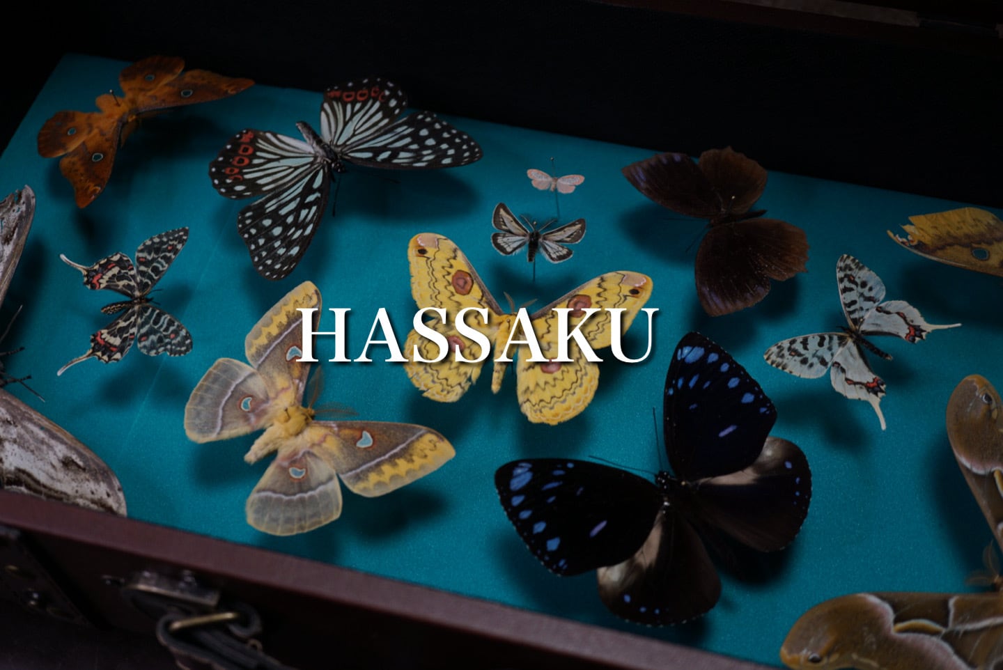 HASSAKU