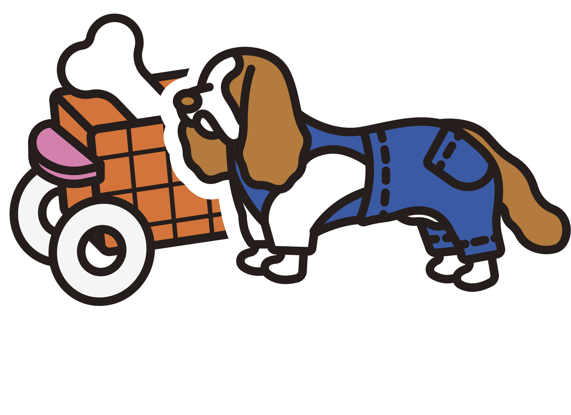 chacha
