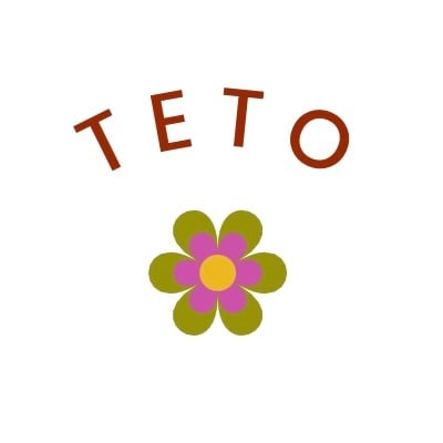 TETO ONLINE