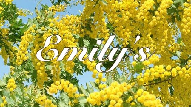 Emily's